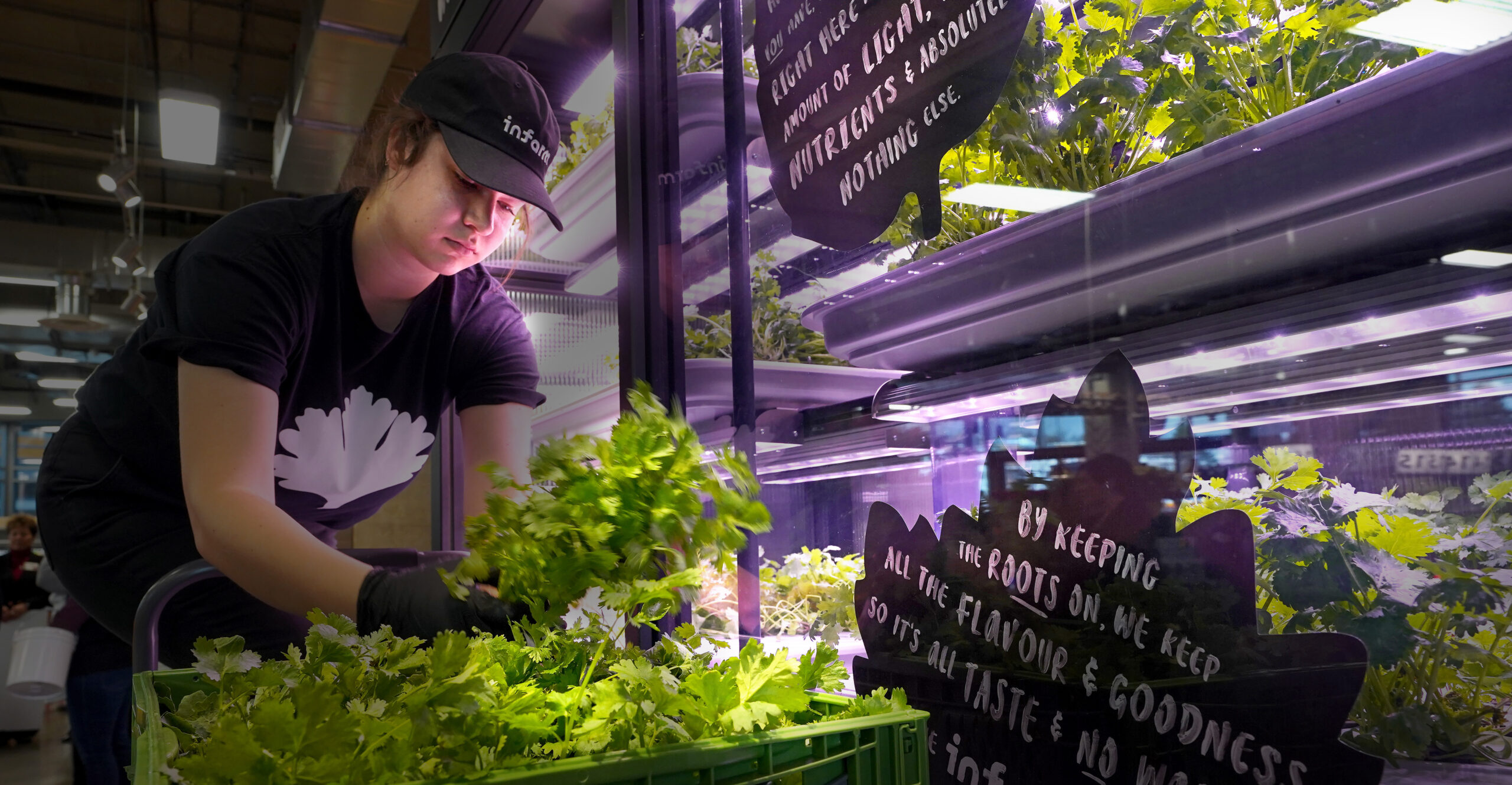 Infarm launches its first U.S. urban farm